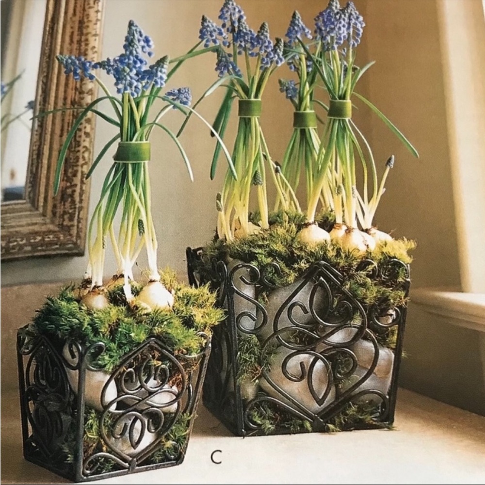 SL@H VINTAGE ROSEDALE SET METAL SCROLL BASKETS/PLANT HOLDERS